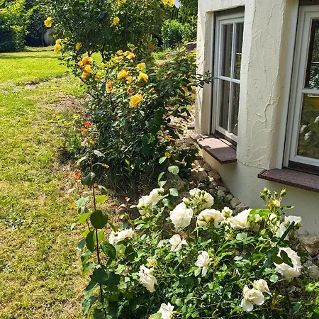 Limonvélo Appartement *