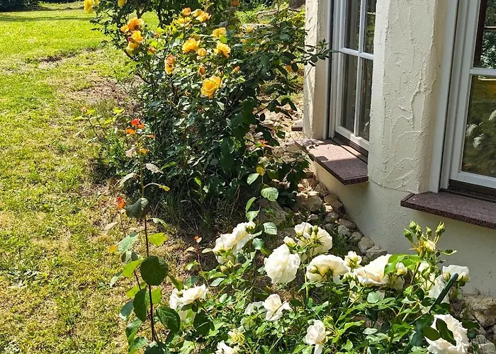 Limonvelo Lägenhet *