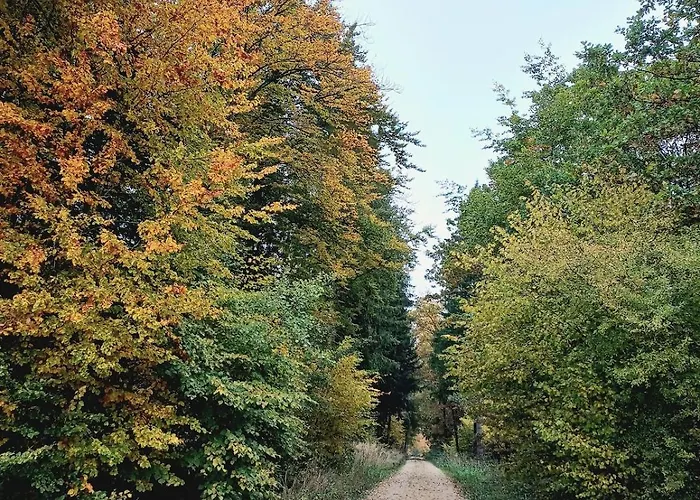 Lägenhet Limonvelo Muhlingen